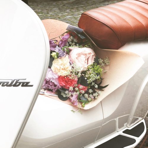 Schwalbe_Blumen2 Schwalbe_Blumen2